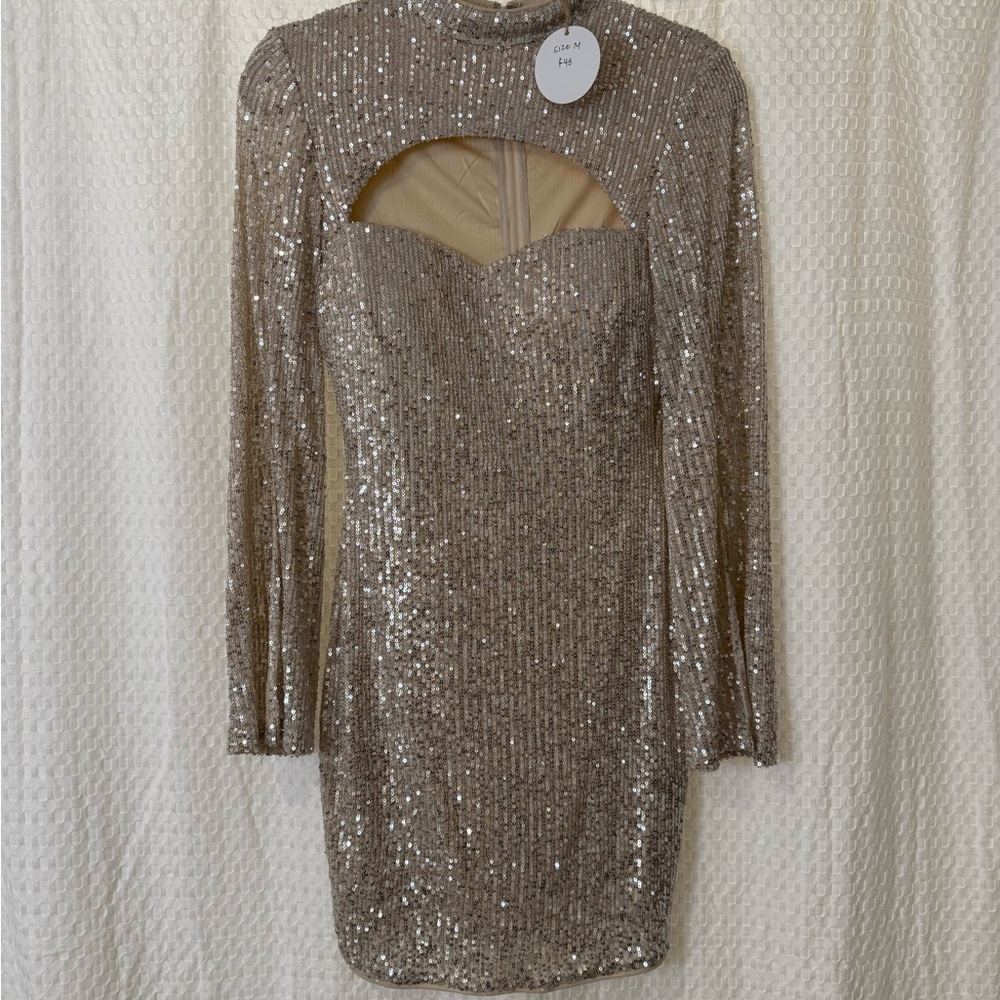 Privy Sparkling Silver Long Sleeve Dress